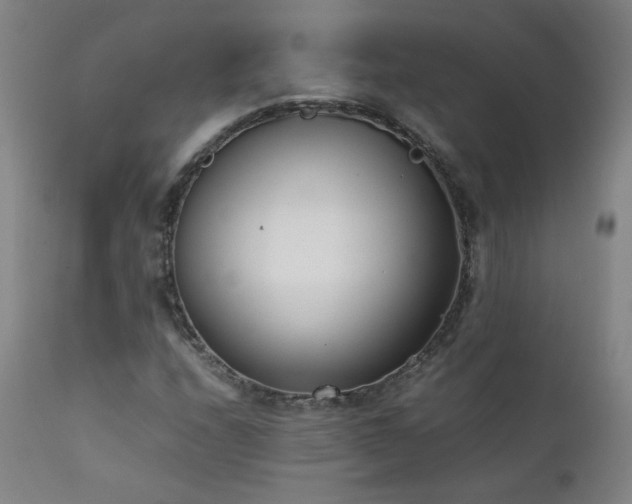 X0000111391208200907171238