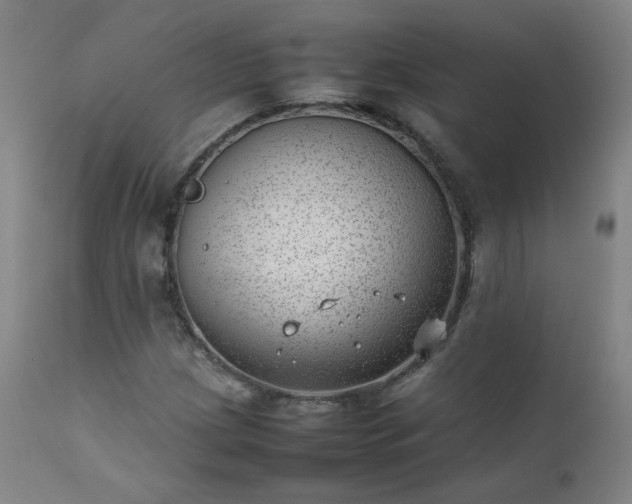 X0000111391209200907171238