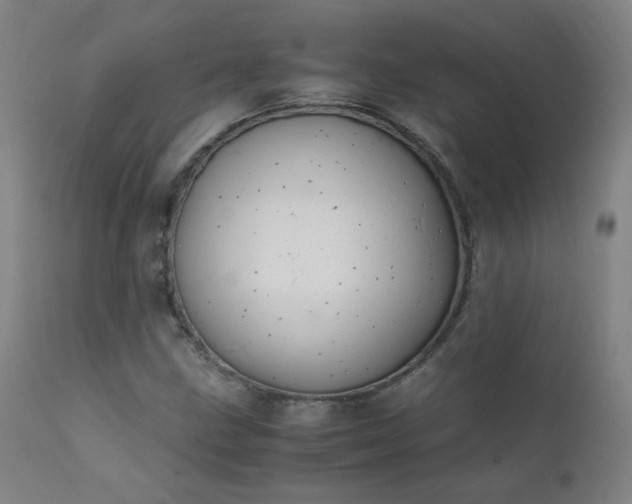 X0000111391211200907171238