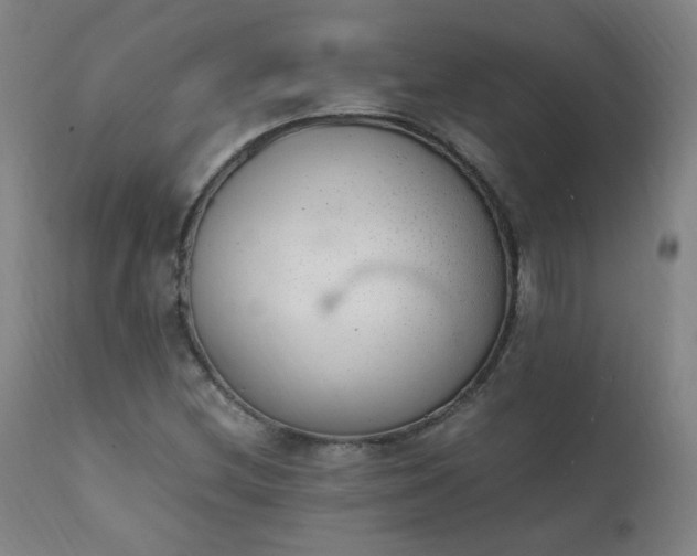 X0000111391212200907171238