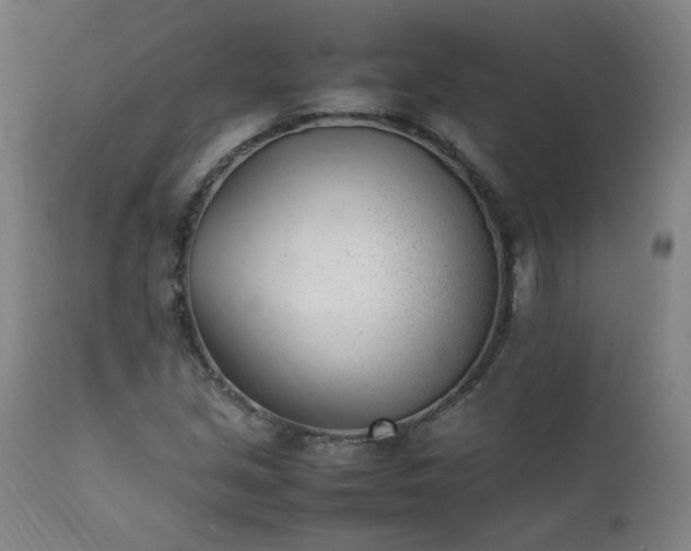 X0000111391213200907171238