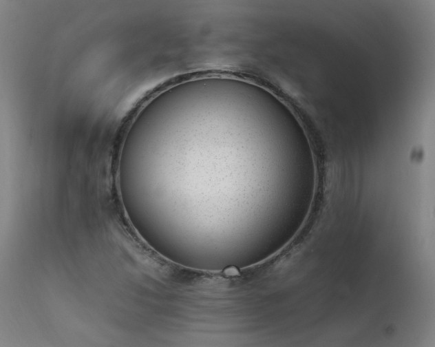 X0000111391214200907171238