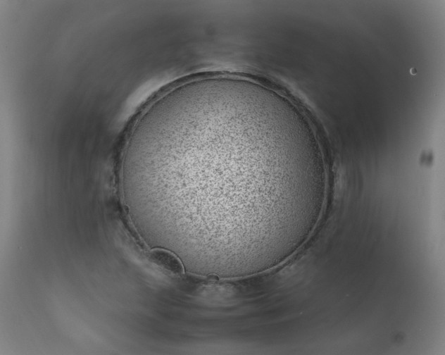 X0000111391215200907171238