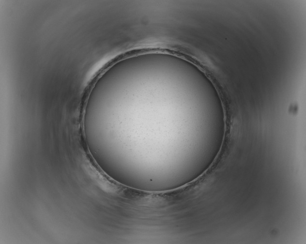 X0000111391216200907171238