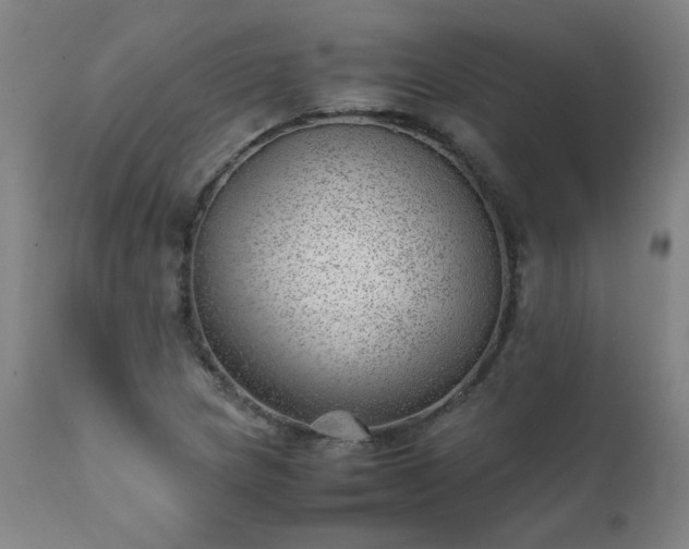 X0000111391217200907171238