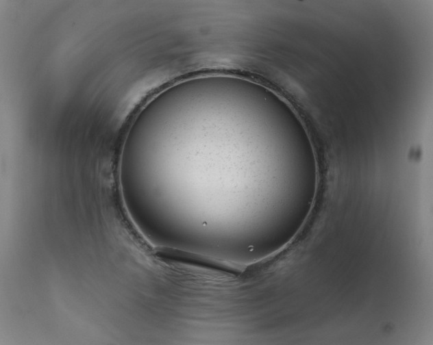 X0000111391218200907171238