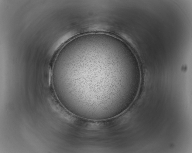 X0000111391219200907171238