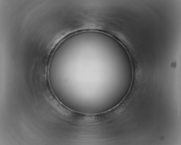 X0000111391220200907171238