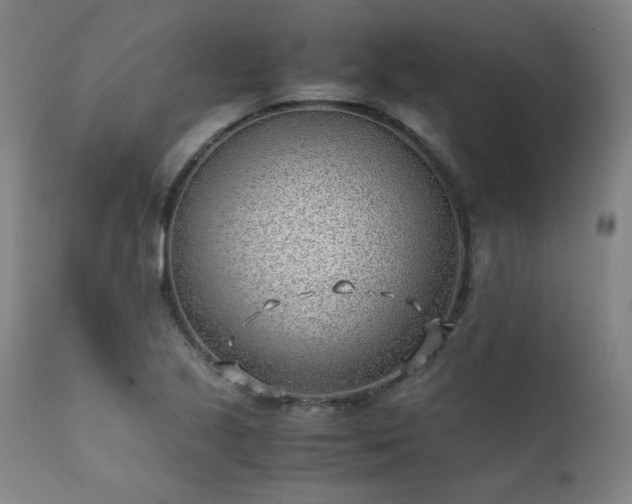 X0000111391221200907171238