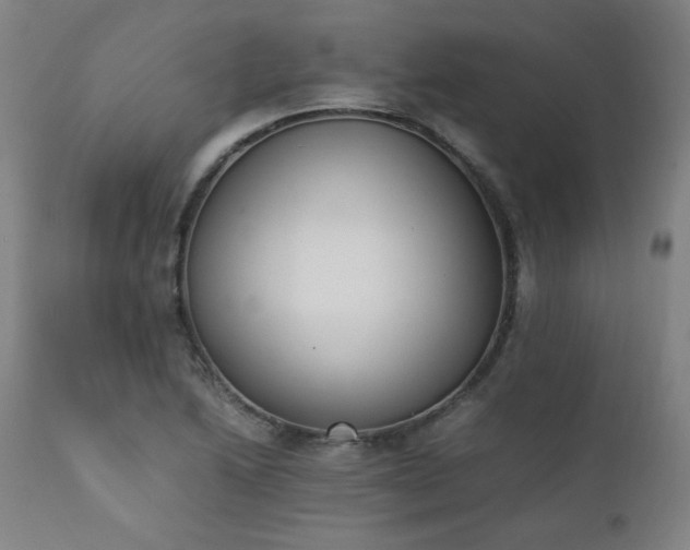 X0000111391222200907171238