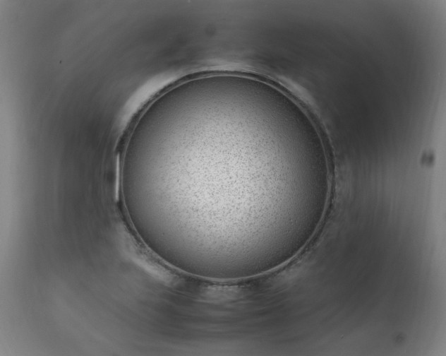 X0000111391223200907171238