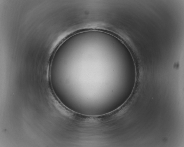 X0000111391224200907171238