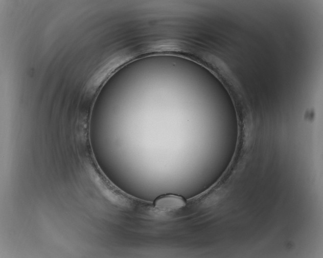 X0000111391225200907171238