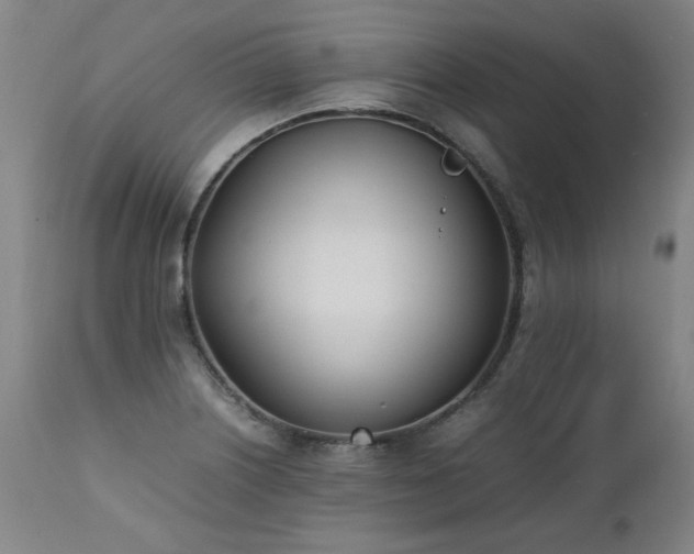 X0000111391226200907171238