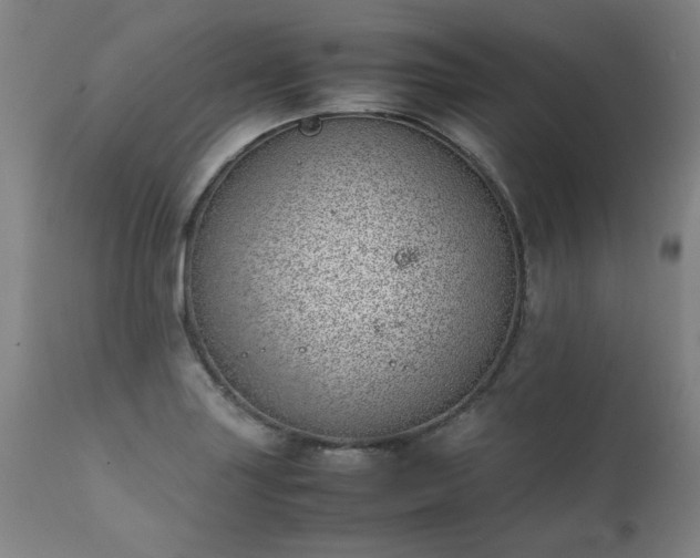 X0000111391227200907171238