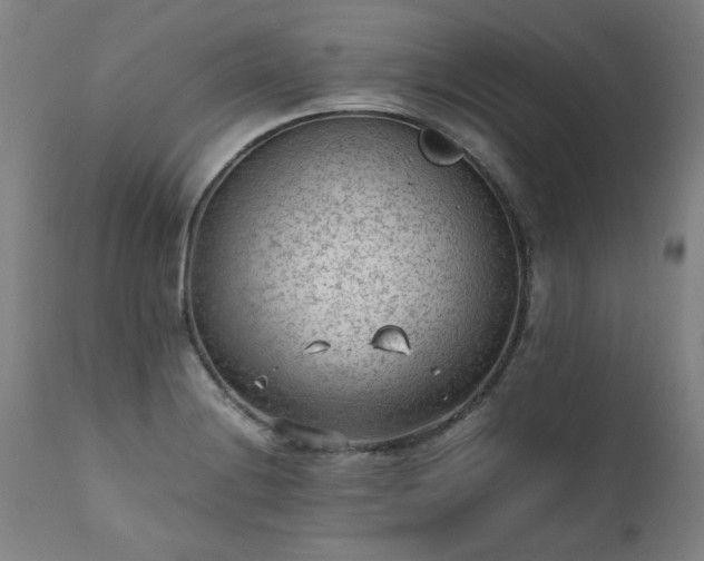 X0000111391228200907171238