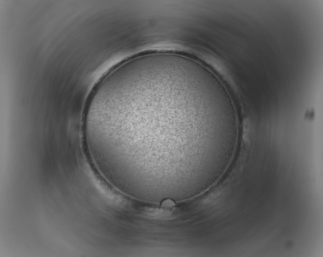 X0000111391229200907171238