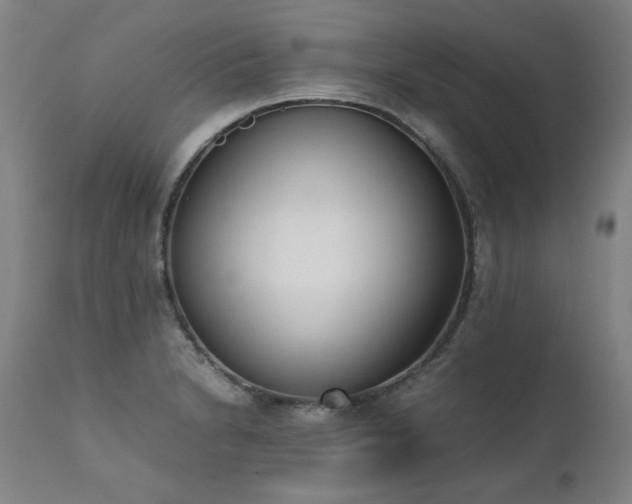 X0000111391230200907171238