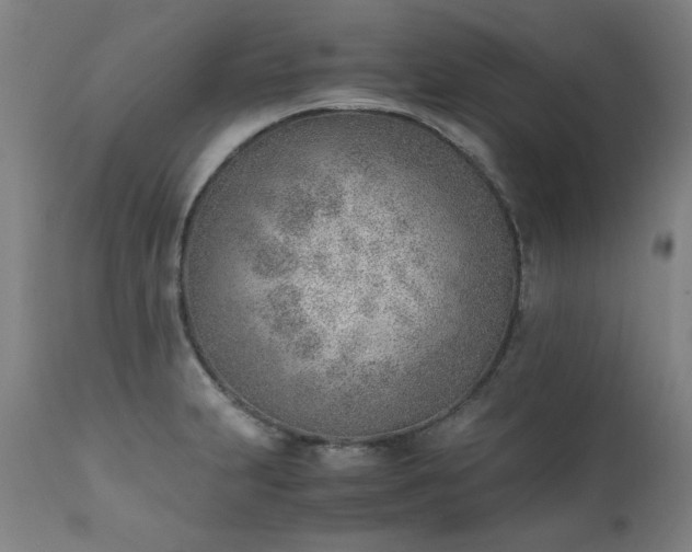 X0000111391231200907171238