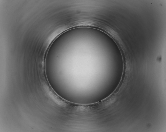 X0000111391234200907171238