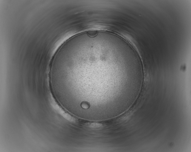 X0000111391235200907171238