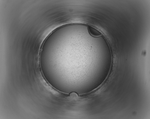 X0000111391236200907171238