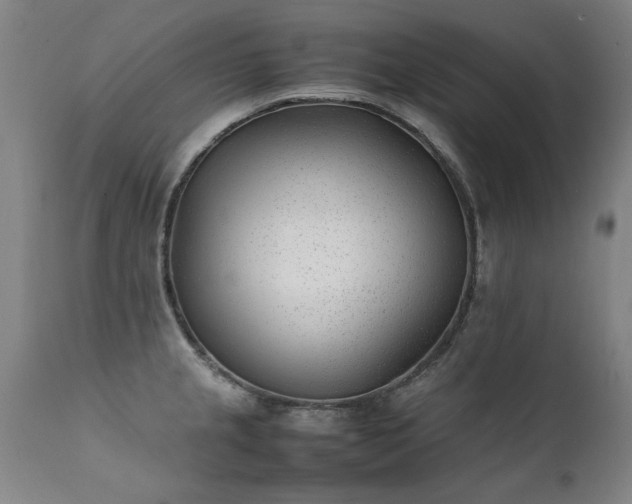 X0000111391237200907171238