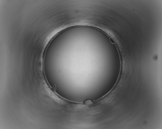 X0000111391238200907171238