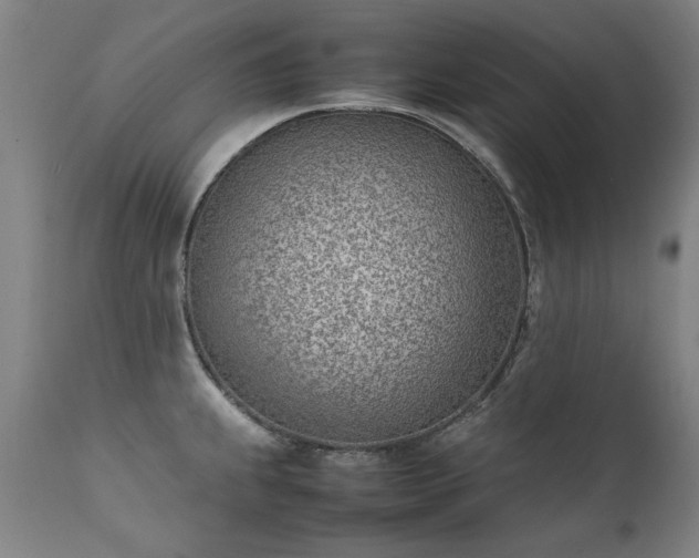 X0000111391239200907171238