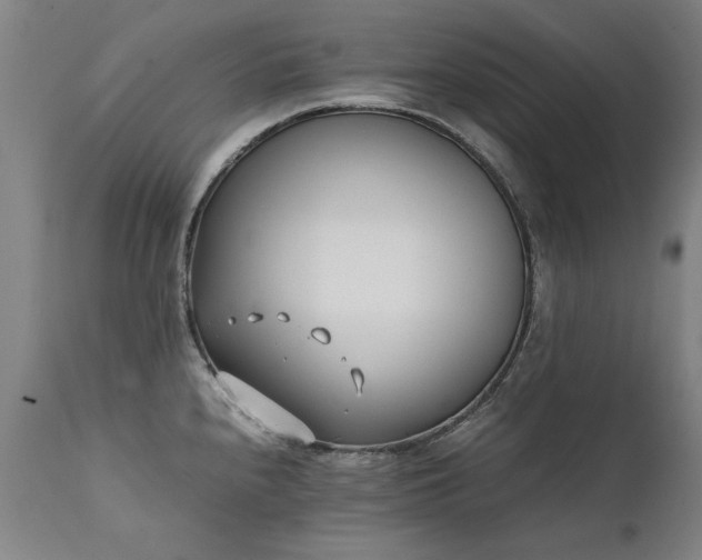 X0000111391240200907171238