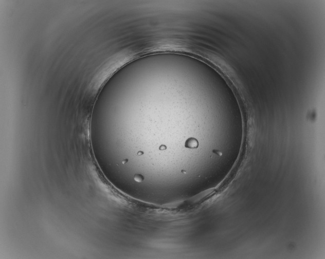 X0000111391241200907171238