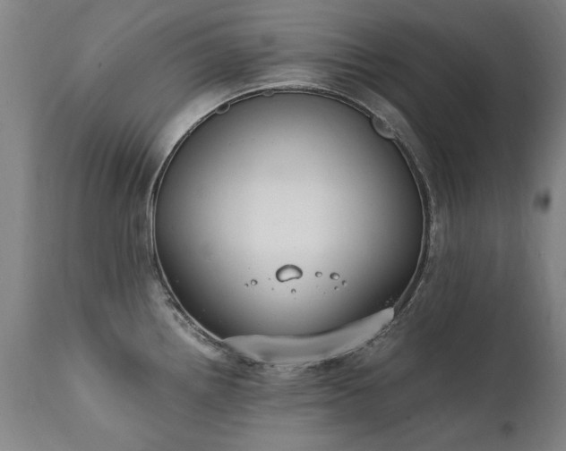 X0000111391242200907171238