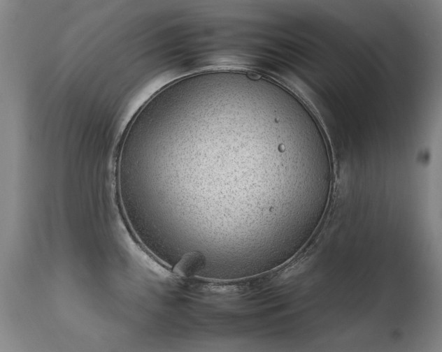 X0000111391243200907171238