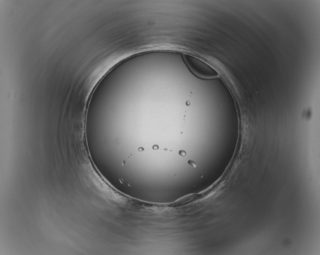 X0000111391244200907171238