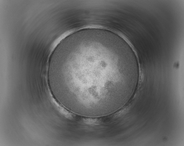 X0000111391245200907171238