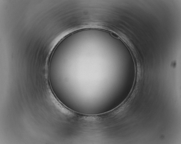 X0000111391246200907171238