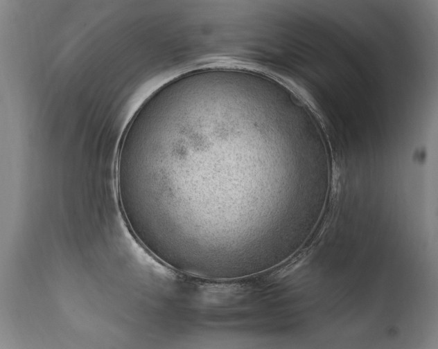 X0000111391247200907171238