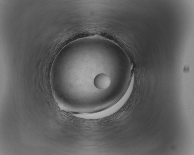 X0000111391249200907171238