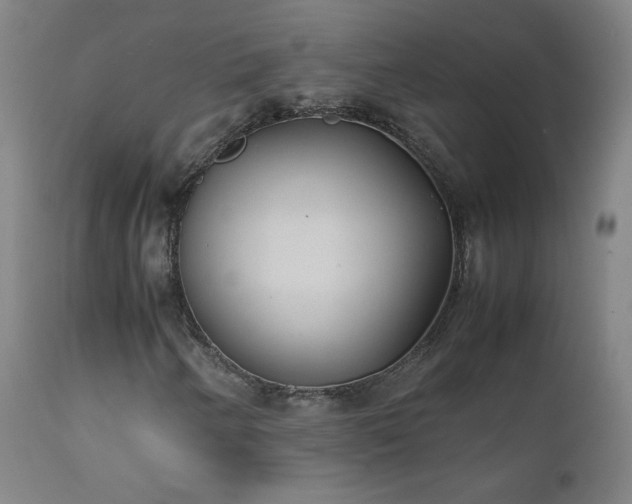 X0000111391250200907171238