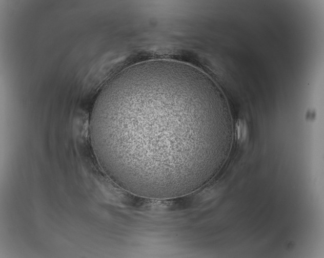 X0000111391251200907171238