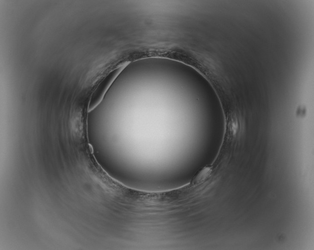 X0000111391252200907171238