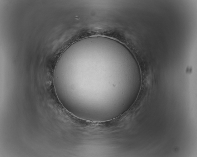 X0000111391253200907171238