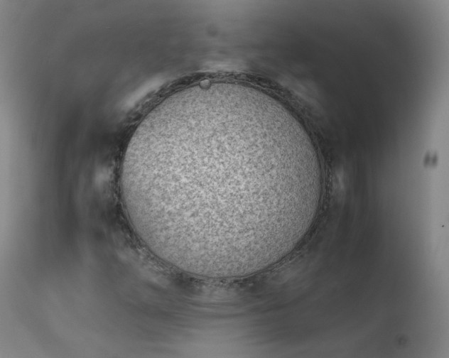 X0000111391254200907171238