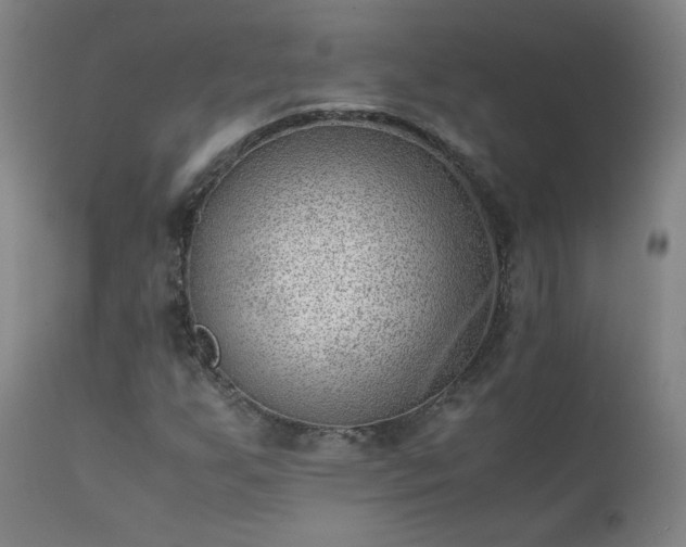 X0000111391255200907171238