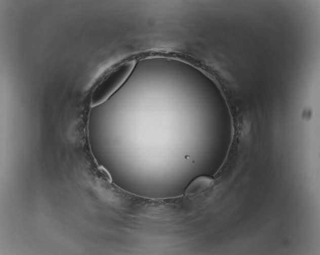 X0000111391256200907171238