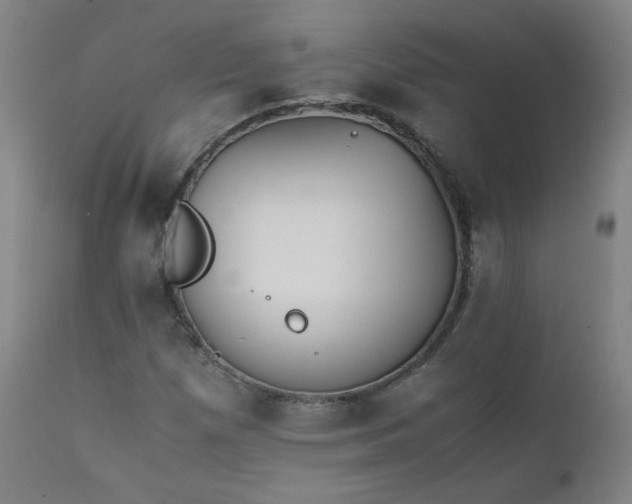 X0000111391257200907171238