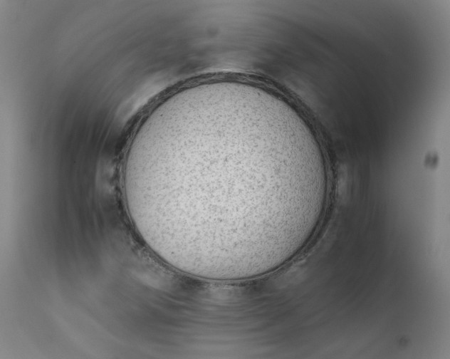 X0000111391258200907171238