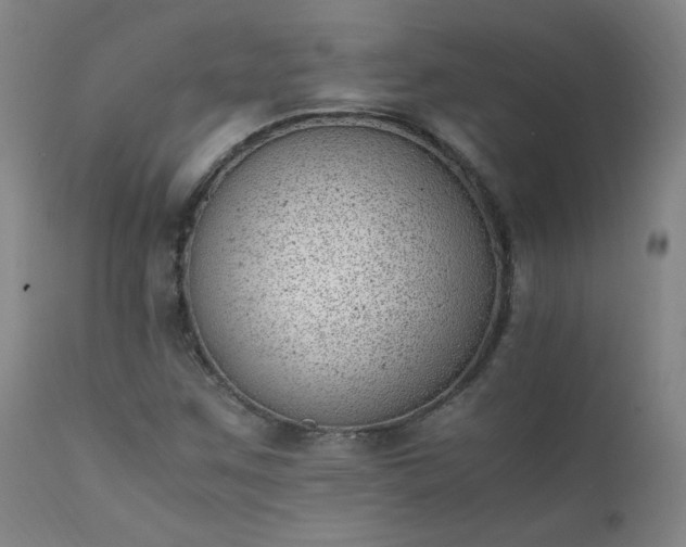 X0000111391259200907171238