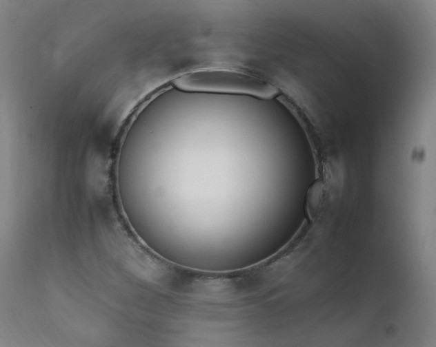 X0000111391260200907171238