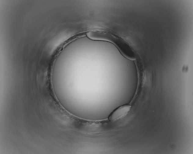 X0000111391261200907171238